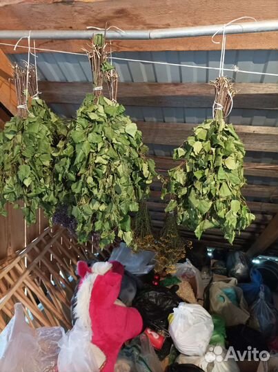 Ветки Вербы,пихты,сосны,иголки для запарки,веники