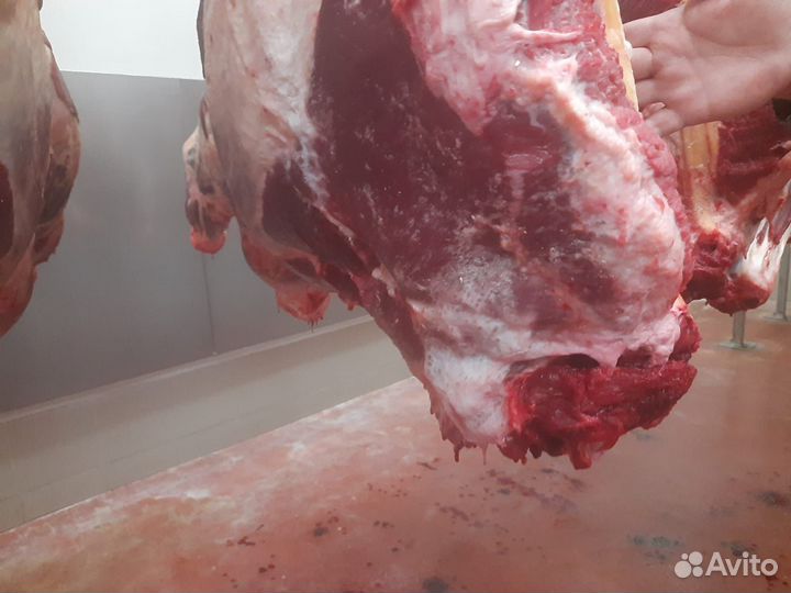 Мясо говядина, баранина оптом