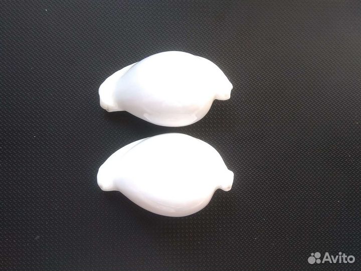 Морские звезды и ракушки ципреи, каури, харпа