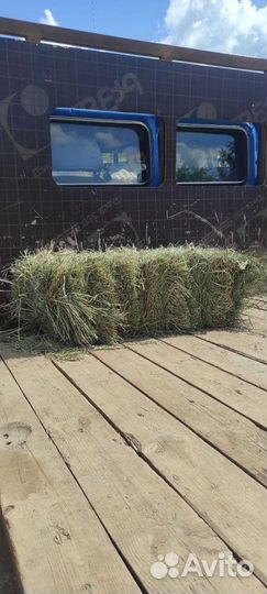 Сено в тюках розница опт 2023 доставка