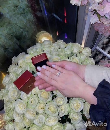 Роза для предложения девушке