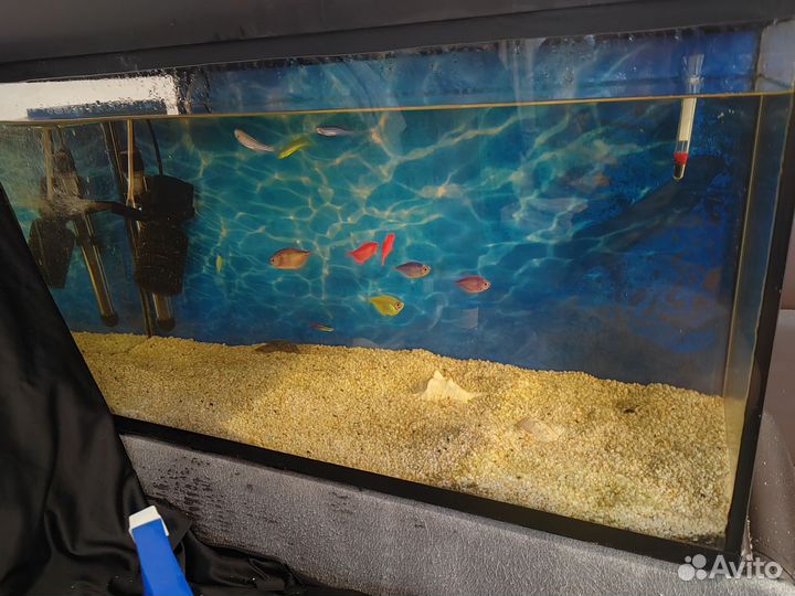 Аквариум на 60 литров