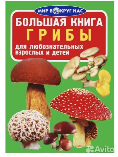 Большая книга 357-7 Грибы (1Ц)