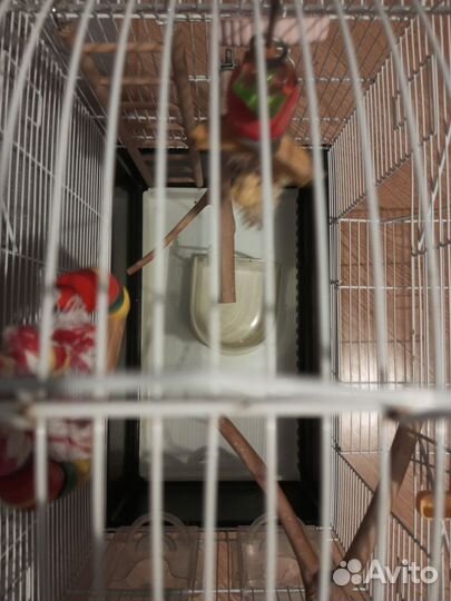 Клетка для попугая