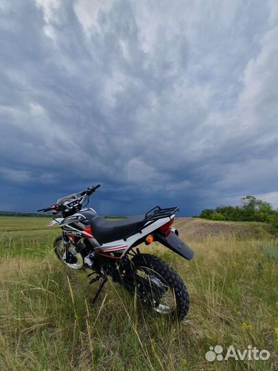 Racer Pantera 250