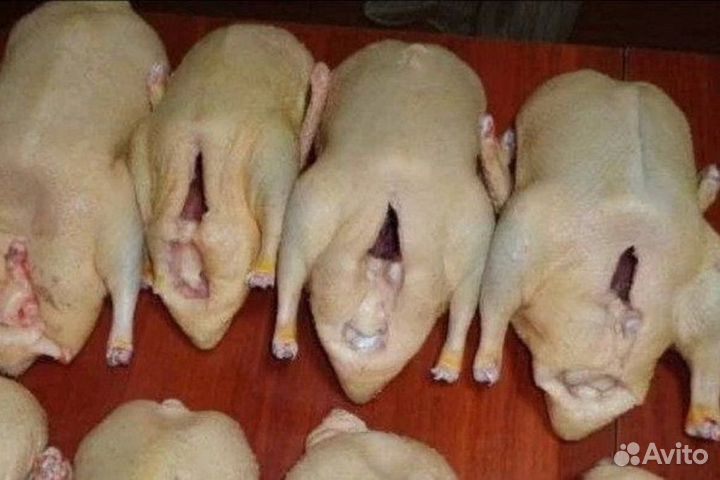 Мясо гуся