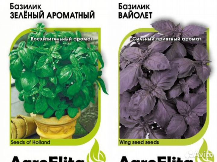 Профсемена зелень, лук, салат из Европы и Японии