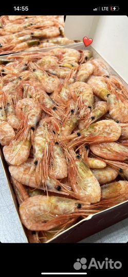 Креветка углохвостая. Сухая заморозка