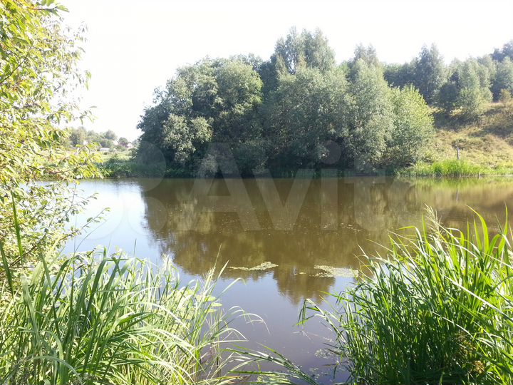 Участок 45 сот. (СНТ, ДНП)