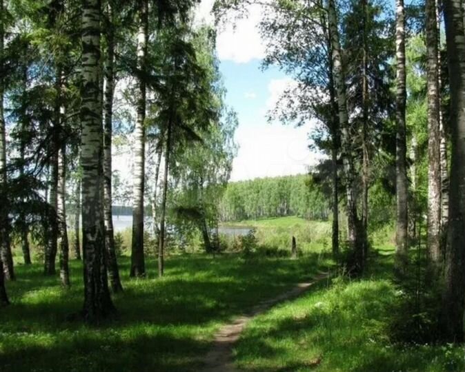 Участок 6,5 сот. (ИЖС)