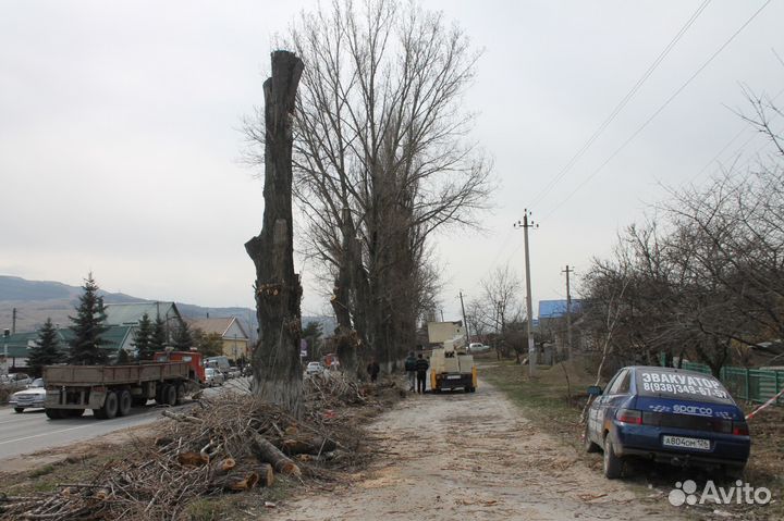Спил деревьев любой сложности