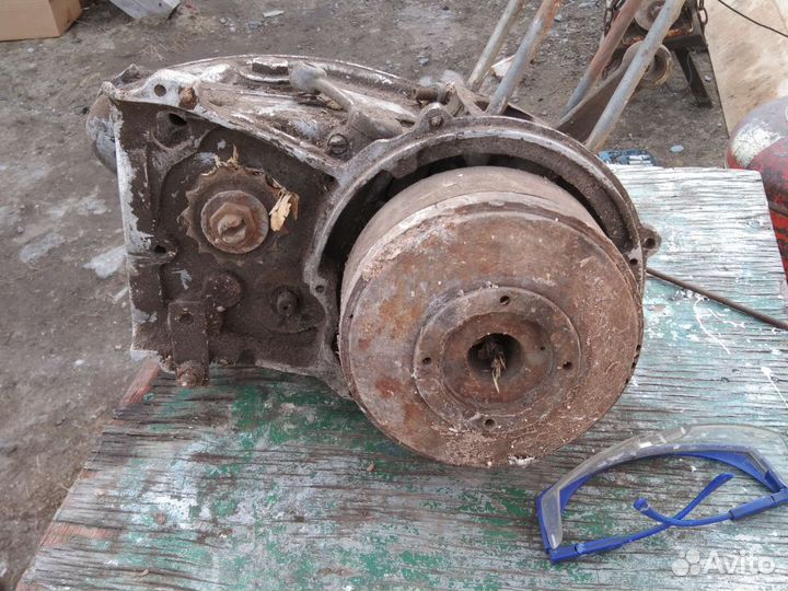 Кпп на муравья