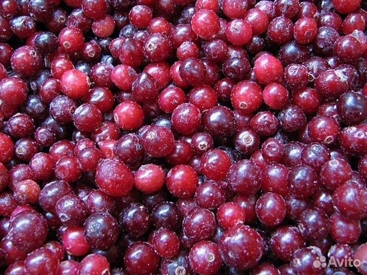 Клюква замороженная крупная