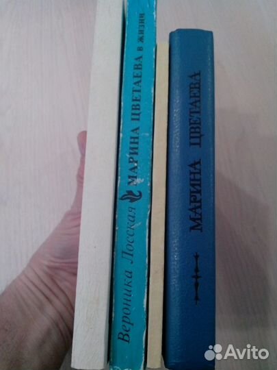 Поэзия М. Цветаевой (жизнь и творчество)