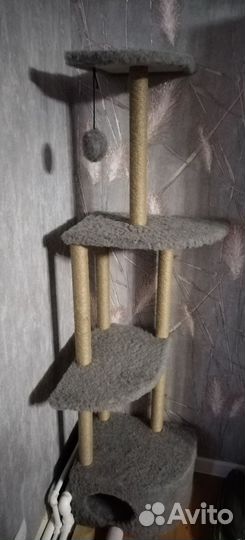 Домик для кошки с когтеточкой новый