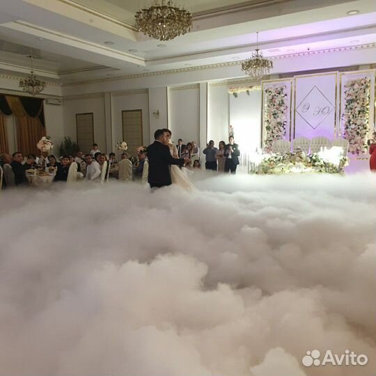 Ведущая Диджей Живая Музыка Фото Видео