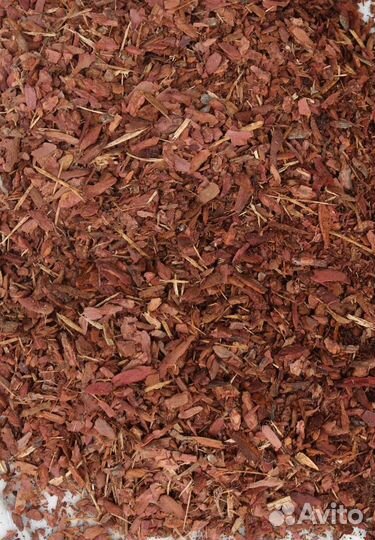 Кора лиственницы