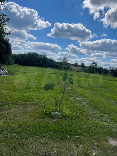 Участок 9,9 сот. (ИЖС)