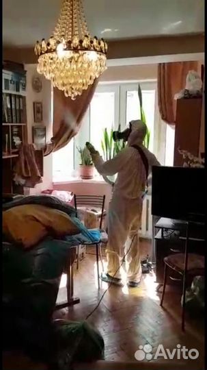 Уничтожение тараканов и клопов, Дезинсекция