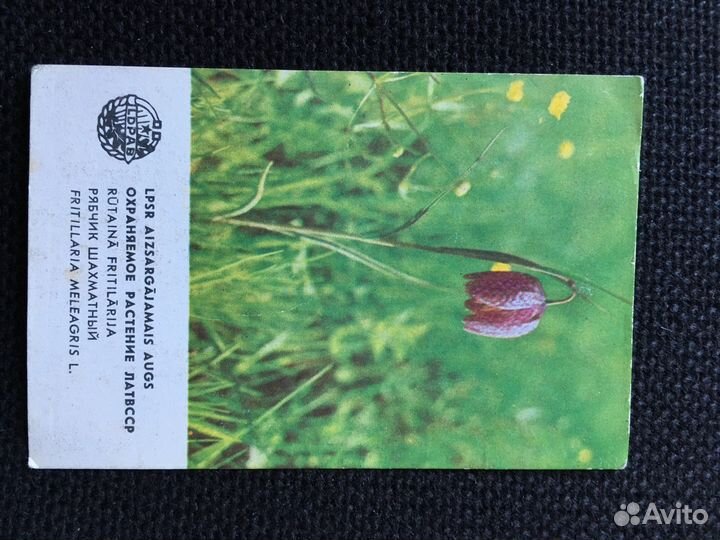 Календарики