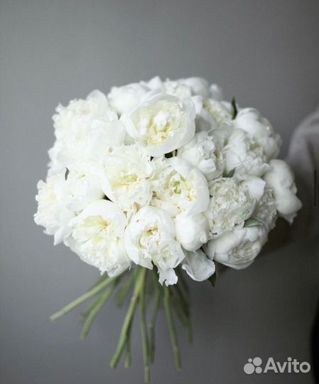 Пышные пионы с беспл. доставкой