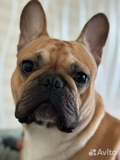 Кабель вязка (развязан )