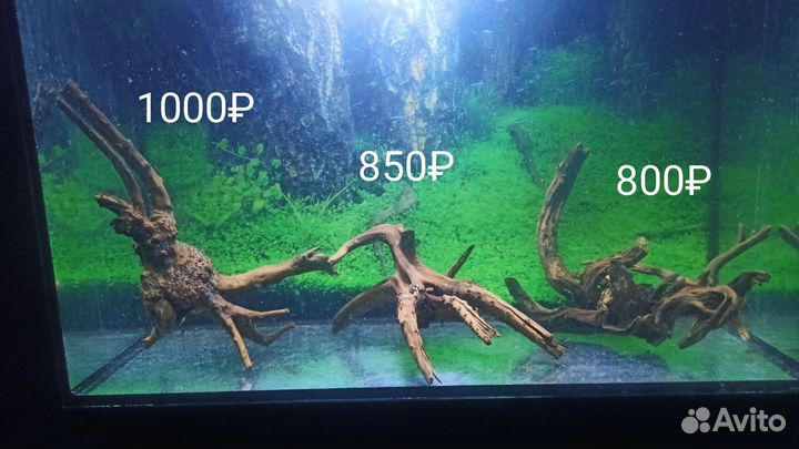 Коряги для аквариума