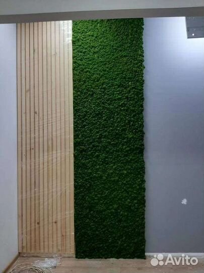 Мох в интерьере