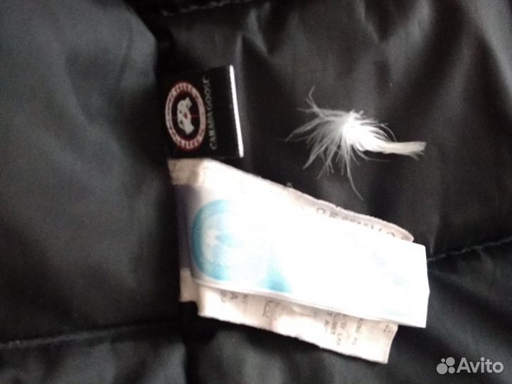 Парка canada goose