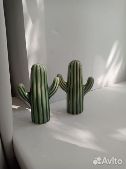 Набор редких кактусов HM Home
