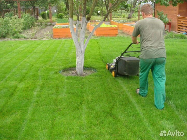 Укладка рулонного газона под ключ, производитель