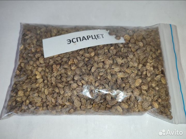 Семена эспарцета