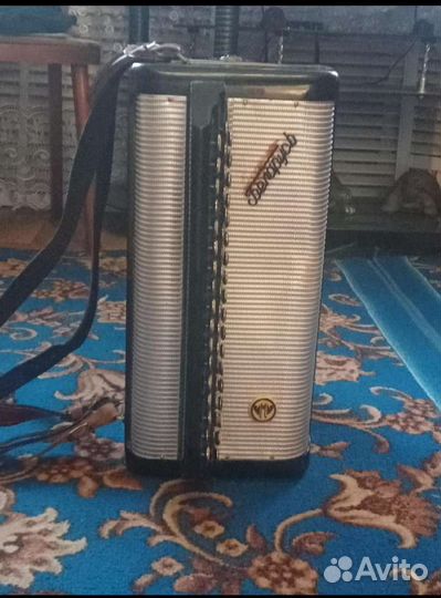 Баян,Беларусь