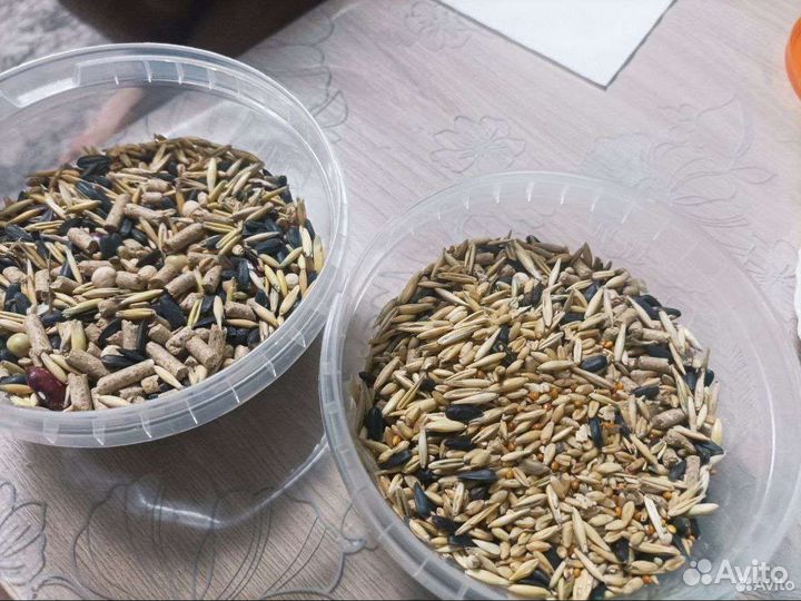 Принадлежности для грызунов