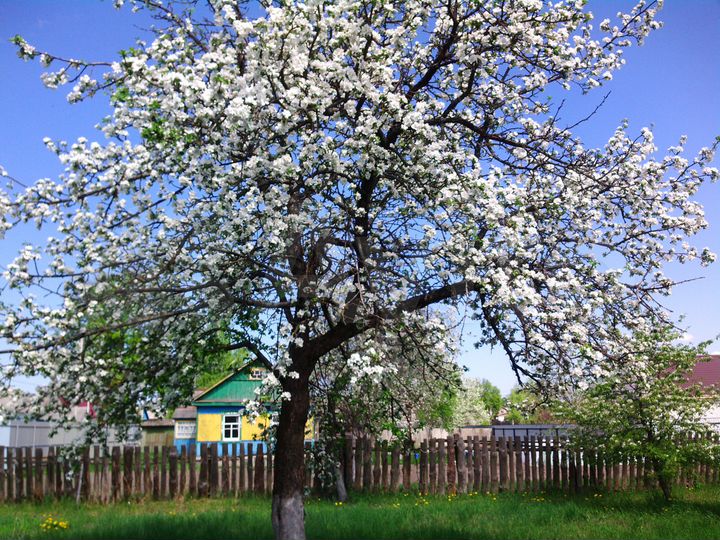 Дом 47 м² на участке 18 сот.