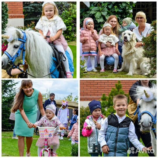 Фотограф на мероприятие, индивидуальные съёмки