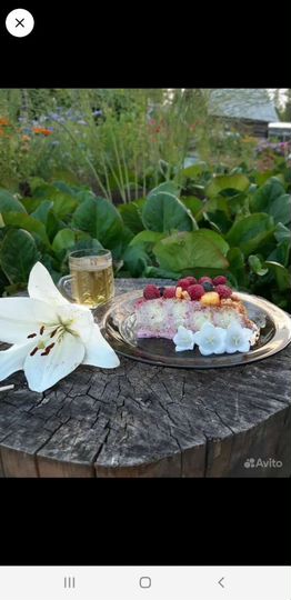 Дача 35 м² на участке 14 сот.