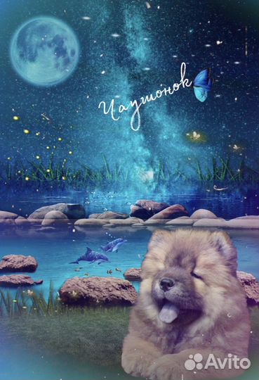 Делаю Обработки бесплатно