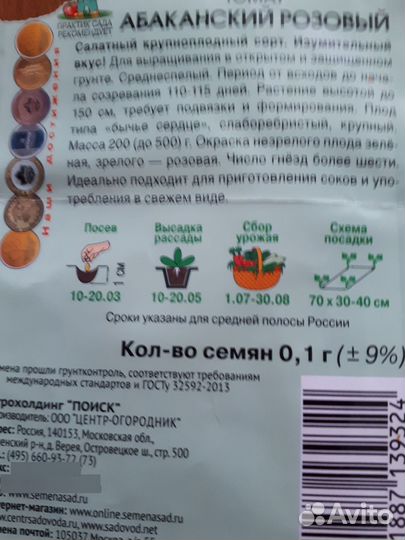 Рассада помидор