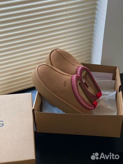 Угги Ugg tazz tasman