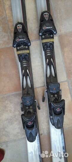 Горные лыжи