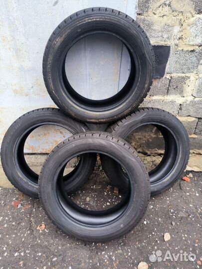 Dunlop Winter Maxx 195/55 R16 87