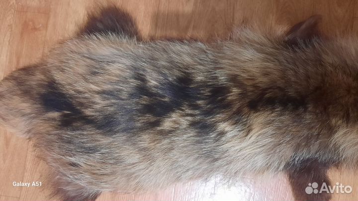 Шкурка енота