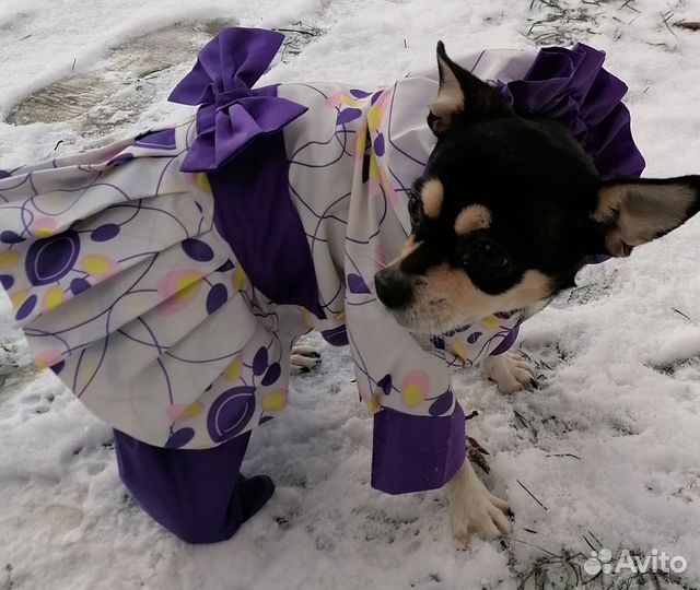 Одежда для собак