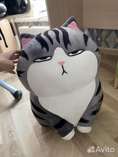 Император-очень мягкий кот