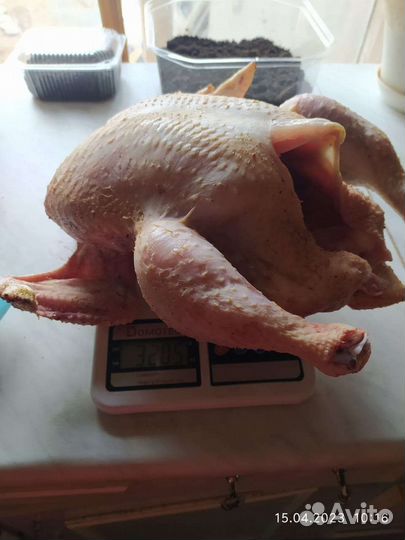Мясо домашнего бройлера