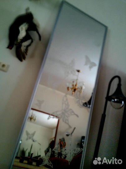 Бабочки десять бабочек Зеркало 