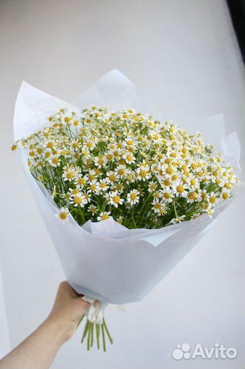 Букет цветов ромашки
