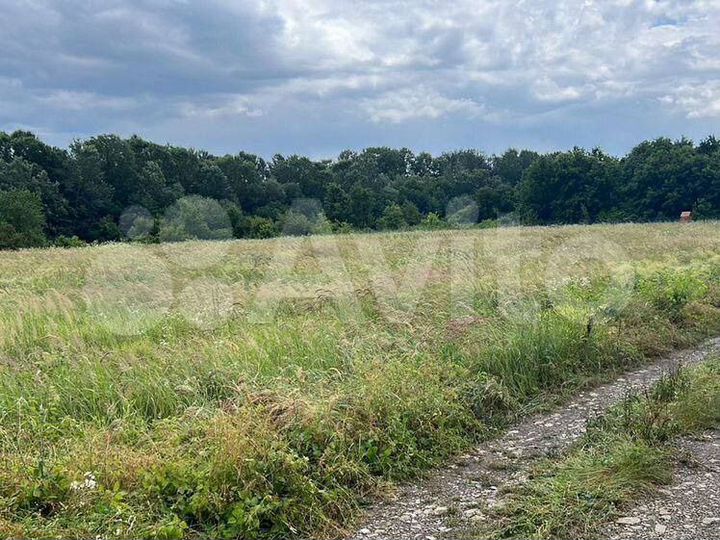 Участок 375 га (СНТ, ДНП)