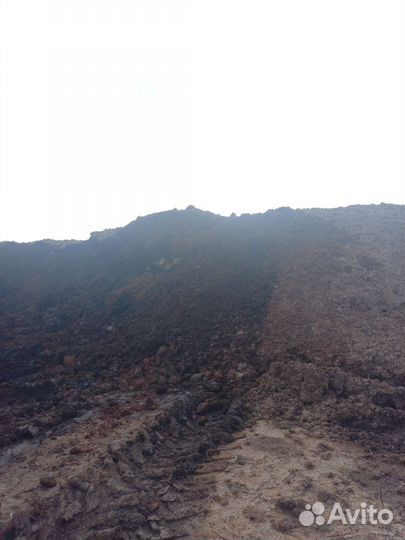 Компост. С Грибной Радуги